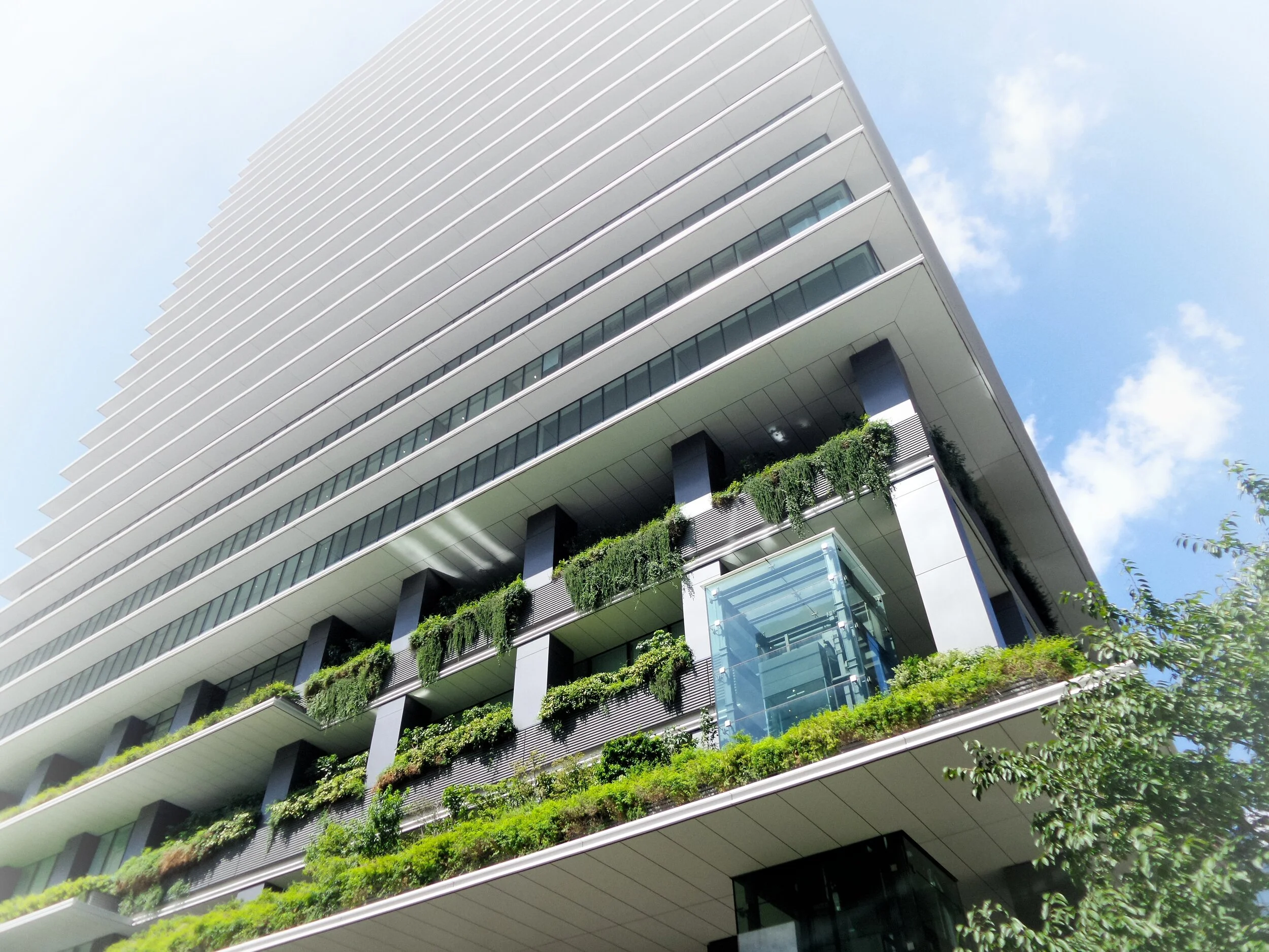 Biophilic Design Trend